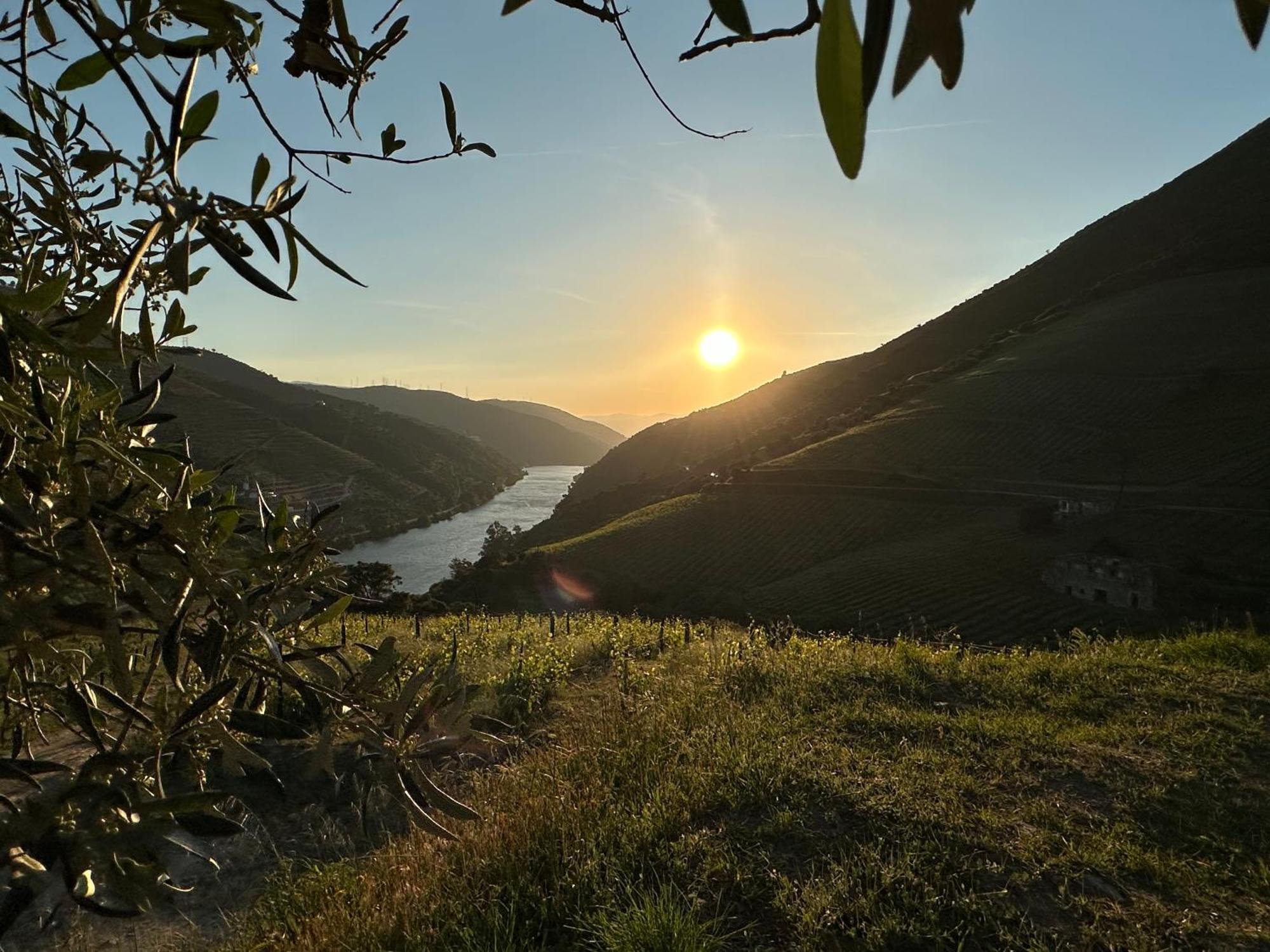 Pmdourovalley Peso da Régua Exteriér fotografie